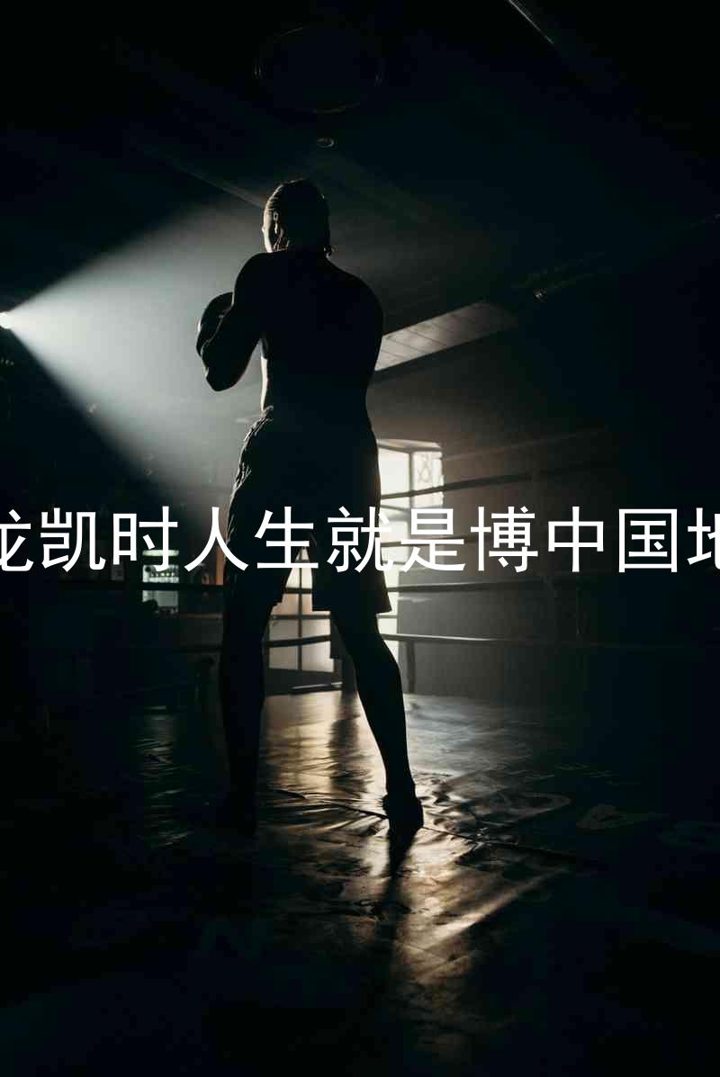 尊龙凯时人生就是博中国地区
